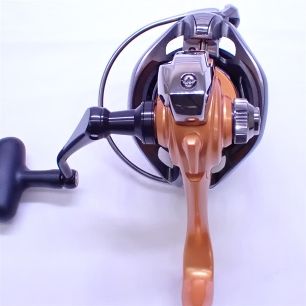 １４キャスティズム２５ＱＤ１５ＰＥ